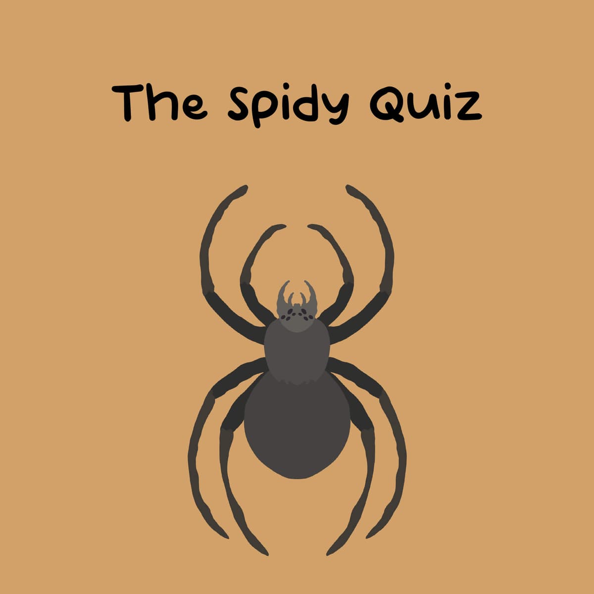 The Spidy Quiz logo