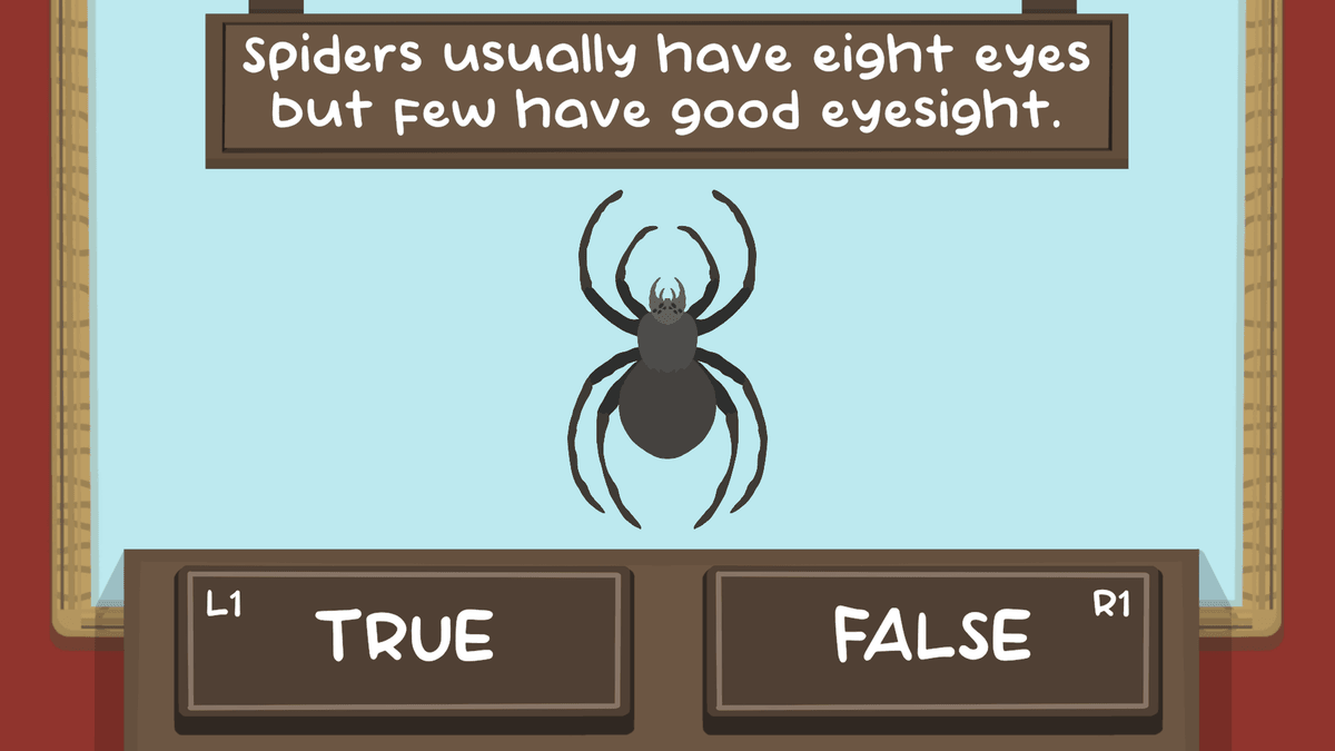 The Spidy Quiz game level showcasing spider quiz challenges