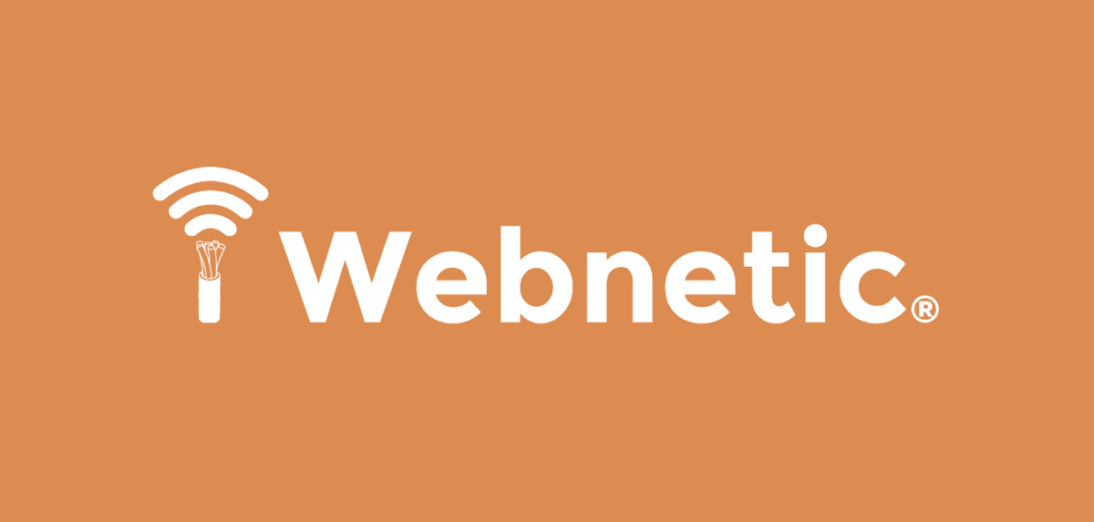 Webnetic company logo